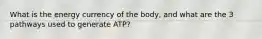 What is the energy currency of the body, and what are the 3 pathways used to generate ATP?