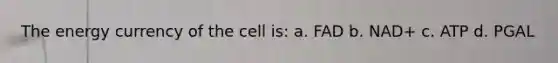 The energy currency of the cell is: a. FAD b. NAD+ c. ATP d. PGAL