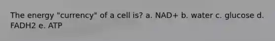 The energy "currency" of a cell is? a. NAD+ b. water c. glucose d. FADH2 e. ATP