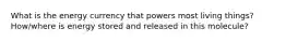 What is the energy currency that powers most living things? How/where is energy stored and released in this molecule?
