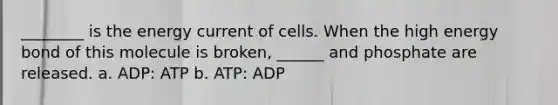 ________ is the energy current of cells. When the high energy bond of this molecule is broken, ______ and phosphate are released. a. ADP: ATP b. ATP: ADP