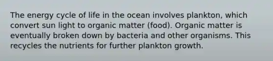 The energy cycle of life in the ocean involves plankton, which convert sun light to organic matter (food). Organic matter is eventually broken down by bacteria and other organisms. This recycles the nutrients for further plankton growth.