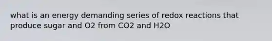 what is an energy demanding series of redox reactions that produce sugar and O2 from CO2 and H2O