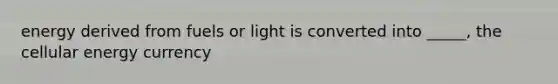 energy derived from fuels or light is converted into _____, the cellular energy currency
