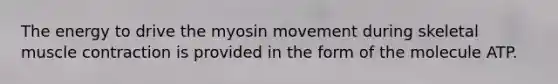 The energy to drive the myosin movement during skeletal muscle contraction is provided in the form of the molecule ATP.