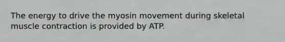 The energy to drive the myosin movement during skeletal muscle contraction is provided by ATP.