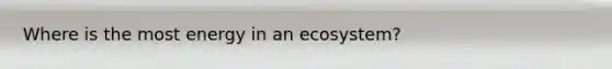 Where is the most energy in an ecosystem?