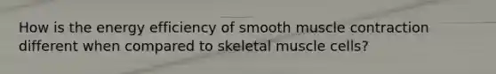 How is the energy efficiency of smooth muscle contraction different when compared to skeletal muscle cells?