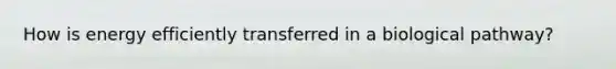 How is energy efficiently transferred in a biological pathway?