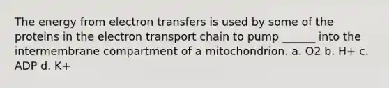 The energy from electron transfers is used by some of the proteins in the electron transport chain to pump ______ into the intermembrane compartment of a mitochondrion. a. O2 b. H+ c. ADP d. K+