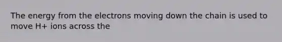 The energy from the electrons moving down the chain is used to move H+ ions across the