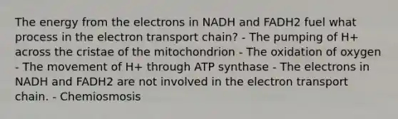 The energy from the electrons in NADH and FADH2 fuel what process in the electron transport chain? - The pumping of H+ across the cristae of the mitochondrion - The oxidation of oxygen - The movement of H+ through ATP synthase - The electrons in NADH and FADH2 are not involved in the electron transport chain. - Chemiosmosis