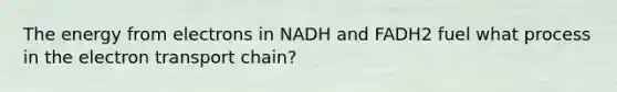 The energy from electrons in NADH and FADH2 fuel what process in the electron transport chain?