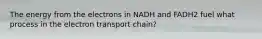 The energy from the electrons in NADH and FADH2 fuel what process in the electron transport chain?