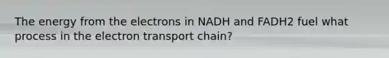 The energy from the electrons in NADH and FADH2 fuel what process in the electron transport chain?