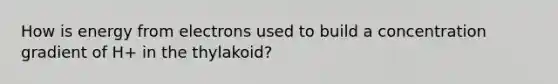 How is energy from electrons used to build a concentration gradient of H+ in the thylakoid?