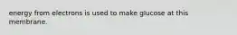energy from electrons is used to make glucose at this membrane.