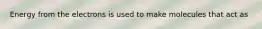 Energy from the electrons is used to make molecules that act as