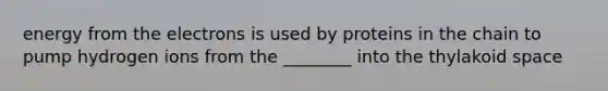 energy from the electrons is used by proteins in the chain to pump hydrogen ions from the ________ into the thylakoid space