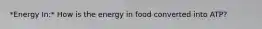 *Energy In:* How is the energy in food converted into ATP?