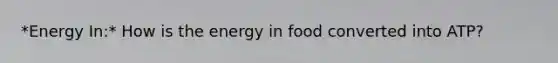 *Energy In:* How is the energy in food converted into ATP?