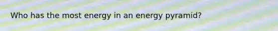 Who has the most energy in an energy pyramid?