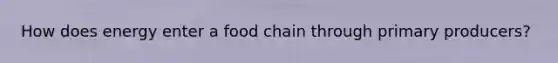 How does energy enter a food chain through primary producers?