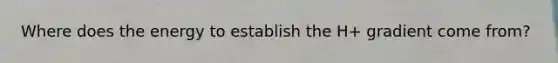 Where does the energy to establish the H+ gradient come from?