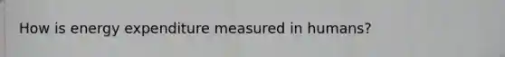 How is energy expenditure measured in humans?