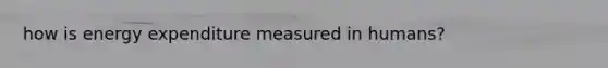 how is energy expenditure measured in humans?