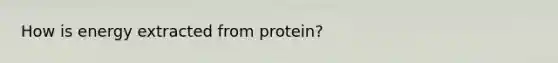 How is energy extracted from protein?