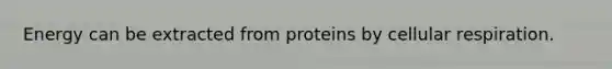 Energy can be extracted from proteins by <a href='https://www.questionai.com/knowledge/k1IqNYBAJw-cellular-respiration' class='anchor-knowledge'>cellular respiration</a>.