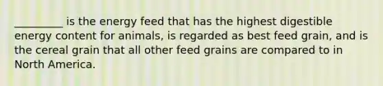 _________ is the energy feed that has the highest digestible energy content for animals, is regarded as best feed grain, and is the cereal grain that all other feed grains are compared to in North America.