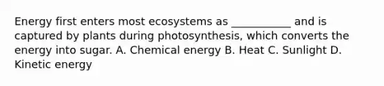 Energy first enters most ecosystems as ___________ and is captured by plants during photosynthesis, which converts the energy into sugar. A. Chemical energy B. Heat C. Sunlight D. Kinetic energy