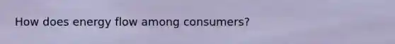 How does energy flow among consumers?