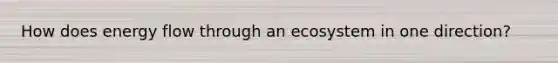 How does energy flow through an ecosystem in one direction?