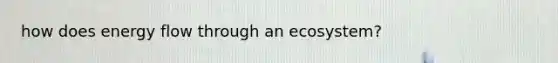 how does energy flow through an ecosystem?