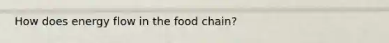 How does energy flow in the food chain?