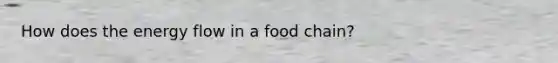 How does the energy flow in a food chain?