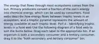 The energy that flows through most ecosystems comes from the sun. Primary producers convert a fraction of the sun's energy into chemical energy, which can be used by consumers. Food webs describe how energy flows between trophic levels in an ecosystem, and a trophic pyramid represents the amount of energy available at each trophic level. Part A - Identifying trophic levels in a food web Use the following diagram of a food web to sort the items below. Drag each label to the appropriate bin. If an organism is both a secondary consumer and a tertiary consumer, drag it to the "both secondary and tertiary consumer" bin.