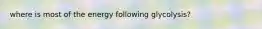 where is most of the energy following glycolysis?
