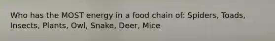 Who has the MOST energy in a food chain of: Spiders, Toads, Insects, Plants, Owl, Snake, Deer, Mice