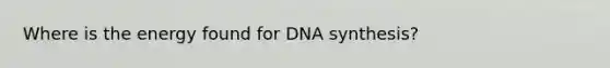 Where is the energy found for DNA synthesis?