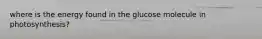 where is the energy found in the glucose molecule in photosynthesis?