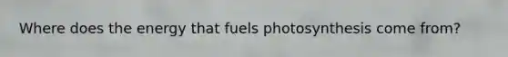 Where does the energy that fuels photosynthesis come from?