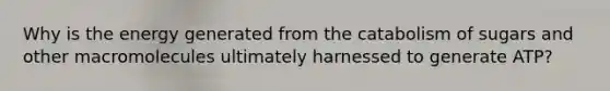 Why is the energy generated from the catabolism of sugars and other macromolecules ultimately harnessed to generate ATP?