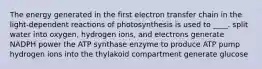 The energy generated in the first electron transfer chain in the light-dependent reactions of photosynthesis is used to ____. split water into oxygen, hydrogen ions, and electrons generate NADPH power the ATP synthase enzyme to produce ATP pump hydrogen ions into the thylakoid compartment generate glucose