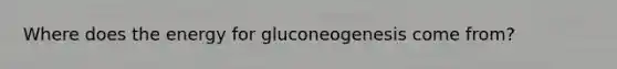 Where does the energy for gluconeogenesis come from?