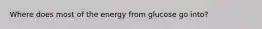 Where does most of the energy from glucose go into?