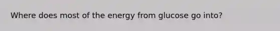 Where does most of the energy from glucose go into?